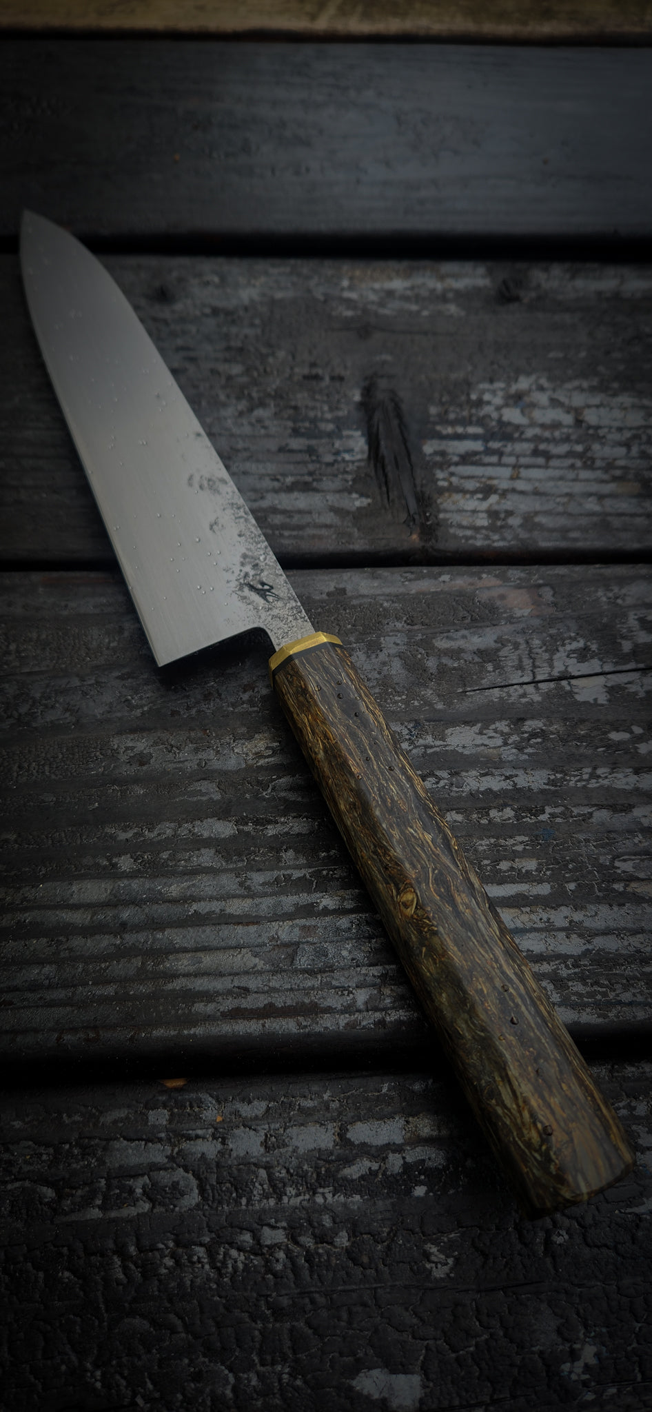 210mm “Druid’s Beard” Gyuto