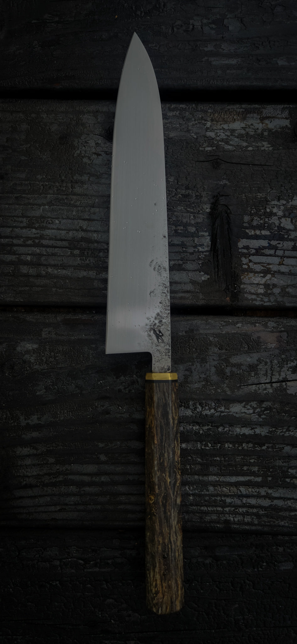 210mm “Druid’s Beard” Gyuto